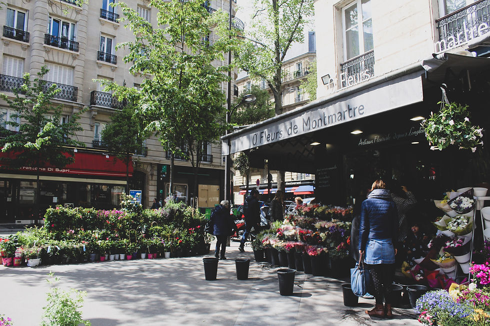 Immobilier neuf Ile de France