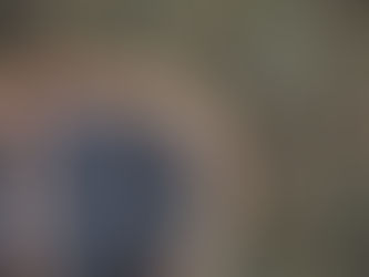 Arándanos Mexicanos: Sabor, Calidad y Frescura Directo desde Michoacán