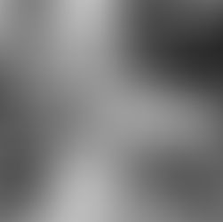 Did I Miss A Meeting?