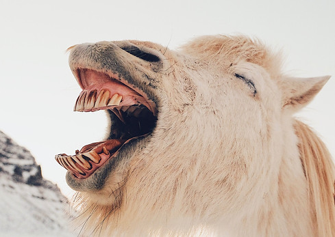 Image by Dan Cook
