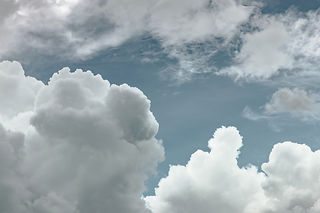Image by Martin Adams