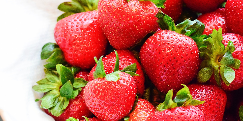 Changing GMO Policy Following Brexit: panel discussion