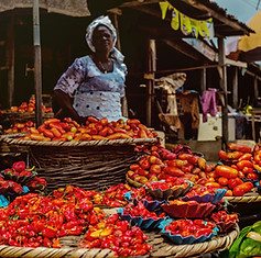Image by Omotayo Tajudeen