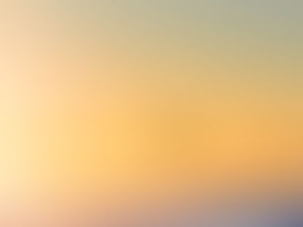 Day 13 - The Birds of the Air