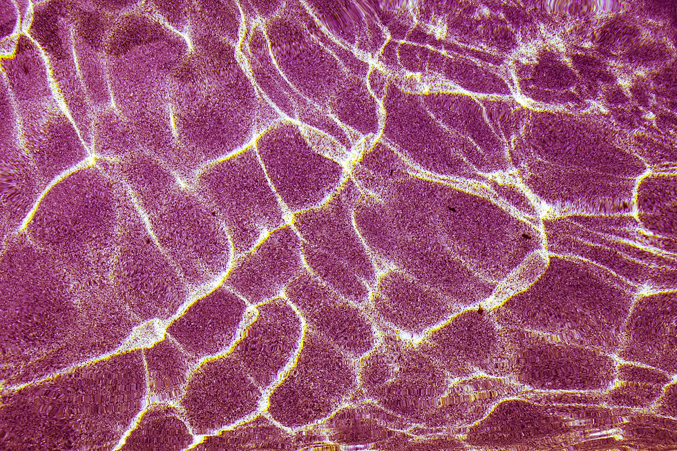 Image by Hybrid