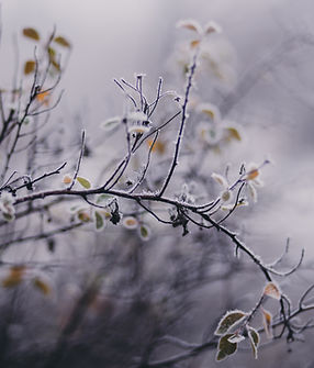 Image by freestocks