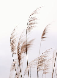 Image de Gabriela Vinca