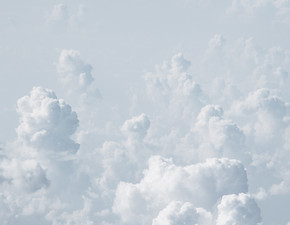 Image by elCarito
