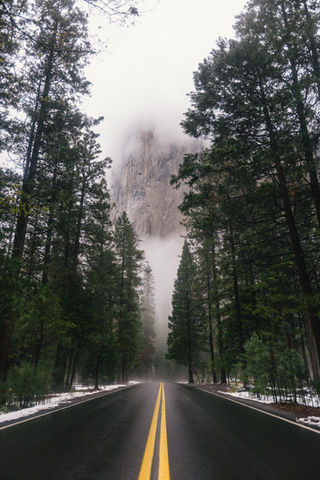 Image by Connor McSheffrey