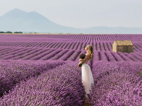 Wild Essence Natural Soap Lavender