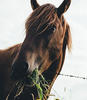 Image de Annie Spratt