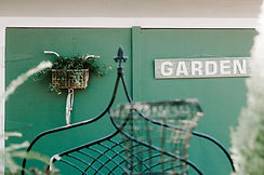 Image by Annie Williams