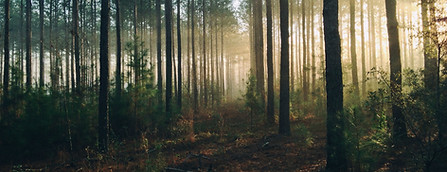 Northern Grounds has been serving up the best coffee, food, and wine on Sheridan Street, Ely since 2016. A favorite rest stop of BWCA travelers and gathering spot of locals, our menu includes the largest by-the-glass fine wine selection north of the Twin Cities and thoughtfully prepared food for dining in or to go.