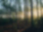 Image de Steven Kamenar