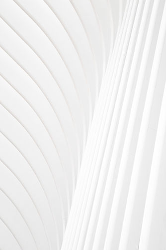 Image by Lorenzo Moschi