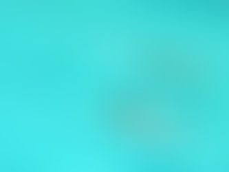 WHAT IS CSS? HOW CAN I FIND OUT MY CSS?