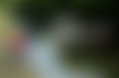 rob a river of a fish