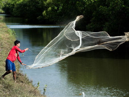 Fishing with Live Bait