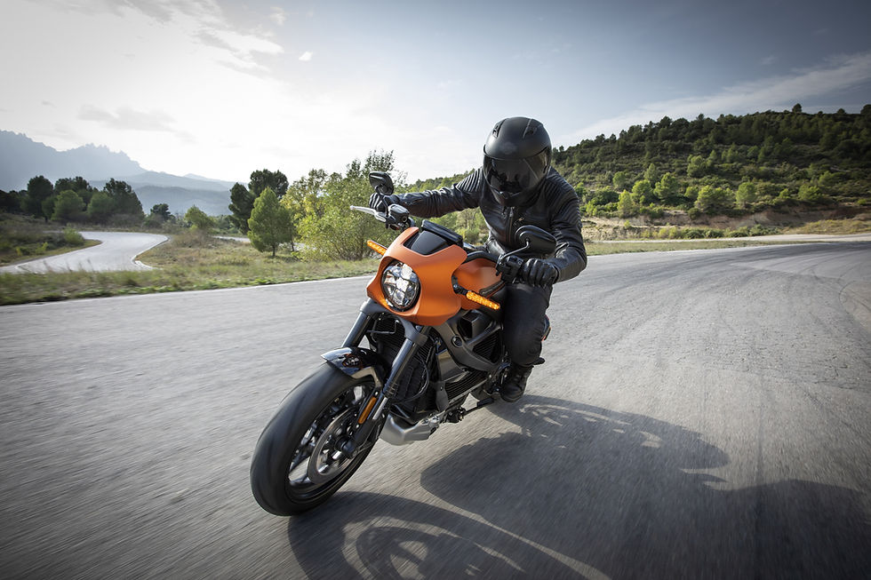 Image by Harley-Davidson