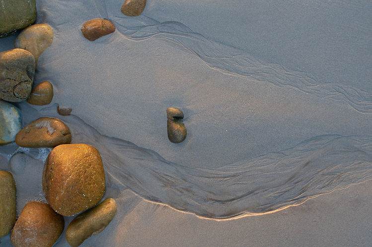 Image by Wolfgang Hasselmann