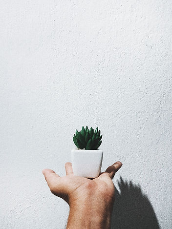 Image by Rainon