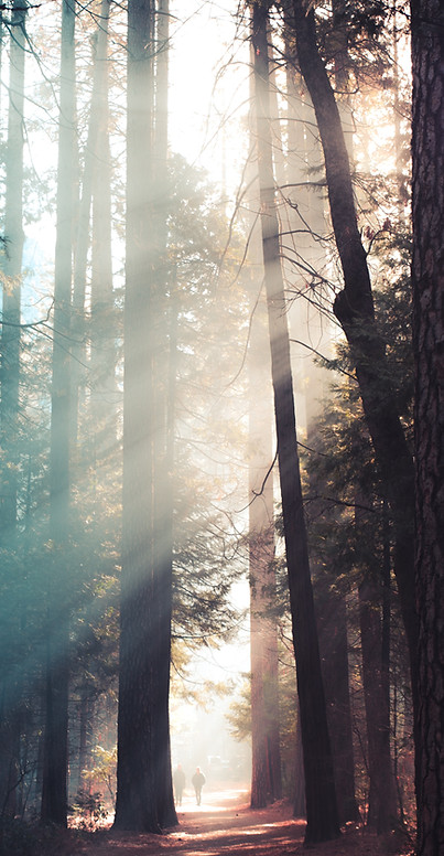 Image by Casey Horner
