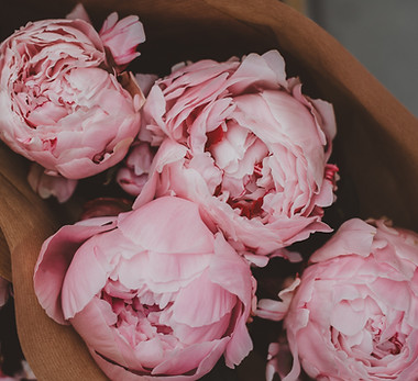 Image by Ellie Ellien