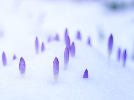 Breathing Life Back Into Your Website: Strategic Content Planning for Continuous SEO Success