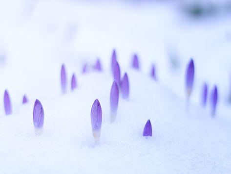 Mindful March - building strong foundations
