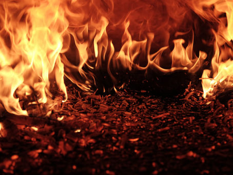 Jargon You Should Know: “Oxidative Stress” and “Inflammation”