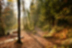 Fastenwoche im Taunus