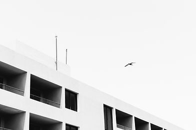 Image by Nicholas Santoianni
