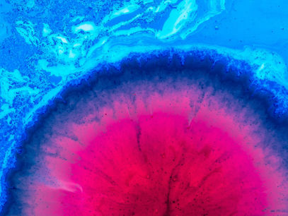 # 8 Presentazione dell'Agenzia e dei Servizi