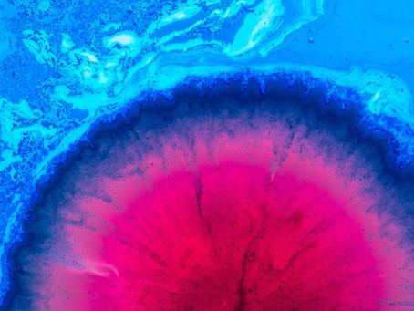 # 8 Presentazione dell'Agenzia e dei Servizi