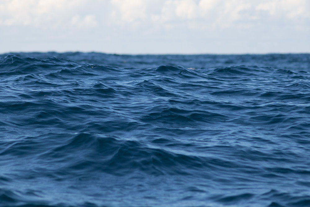 Bezos Earth Fund invests $37.5M to accelerate Pacific-led ocean protection