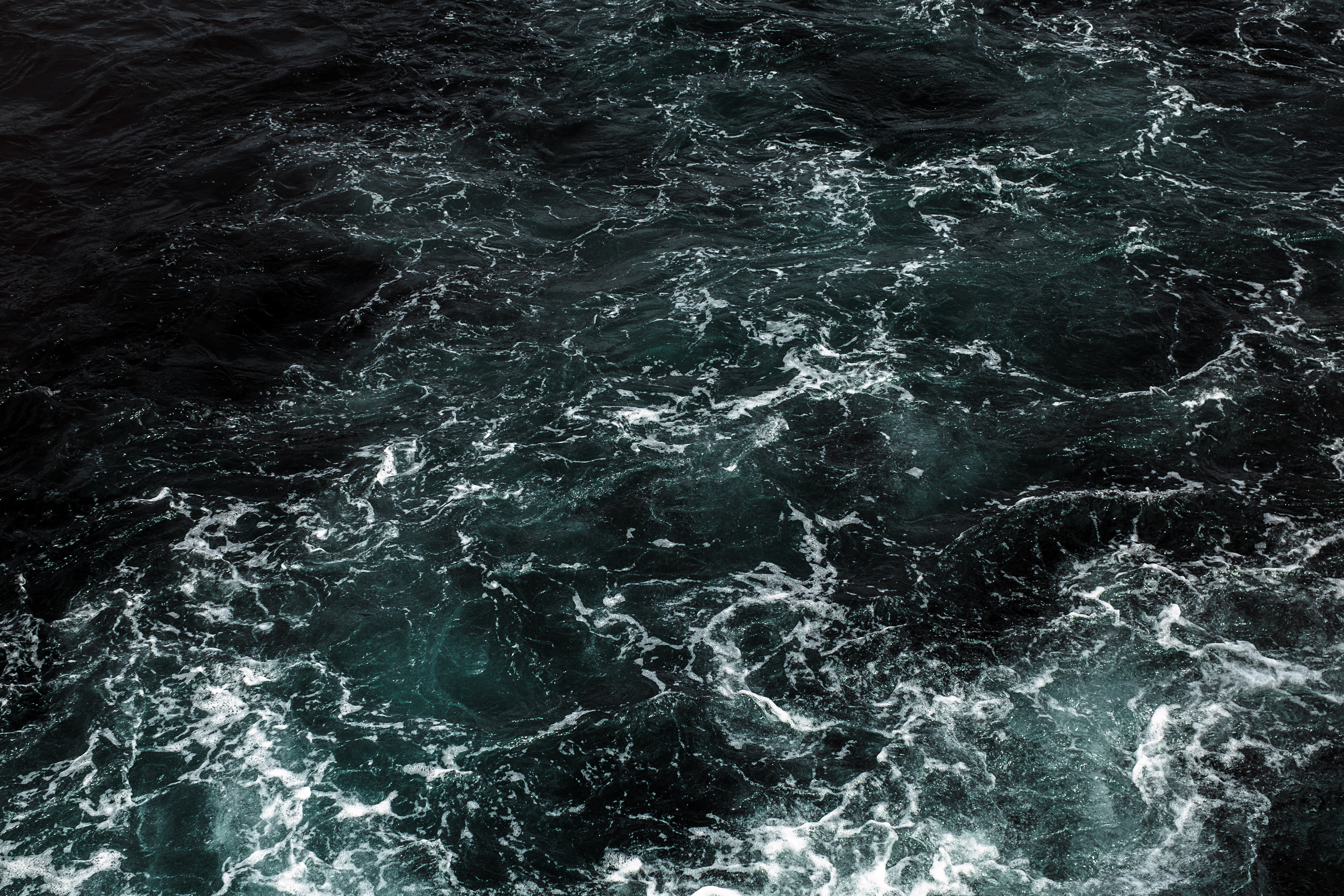 Image by Maria Teneva