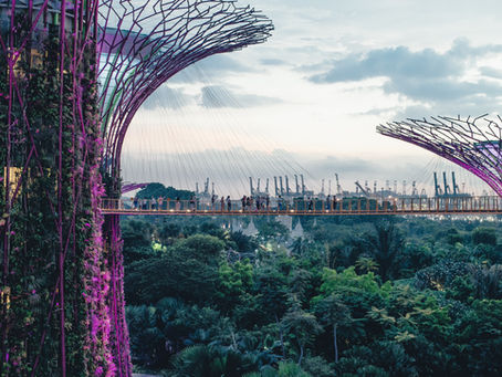 Singapore's Four National Taps: A Blueprint for Water Security