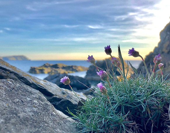 Image by James Qualtrough 🇮🇲