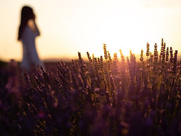 Image by Artur Aldyrkhanov