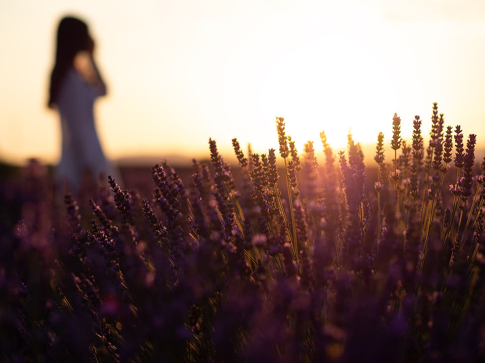 Image by Artur Aldyrkhanov