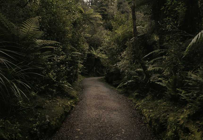 Image by Tyler Lastovich