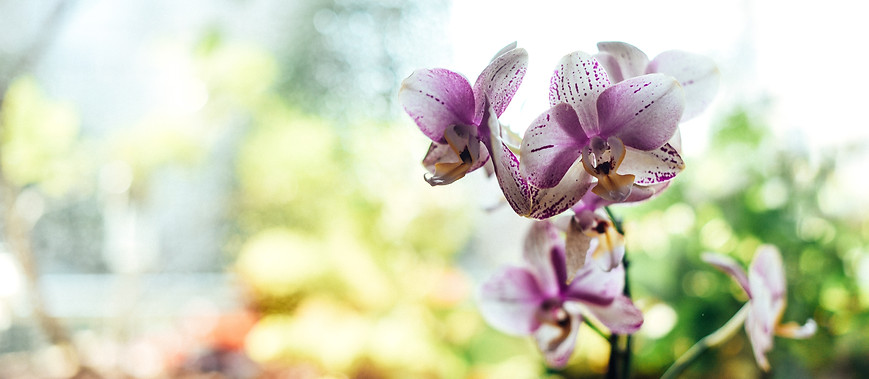 Image by Gaelle Marcel