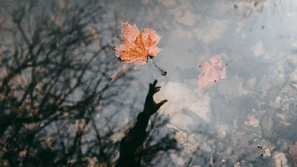 Image credit: Andrik Langfield on Unsplash