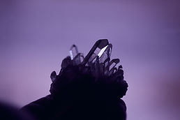 Image by Sharon McCutcheon
