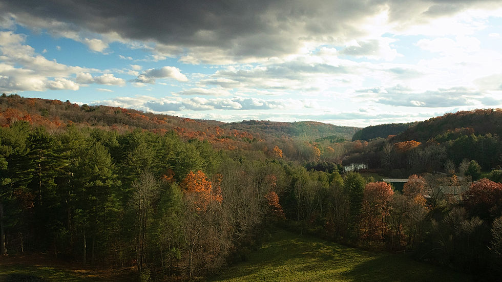 Rolling hills with autumn foliage under a cloudy sky