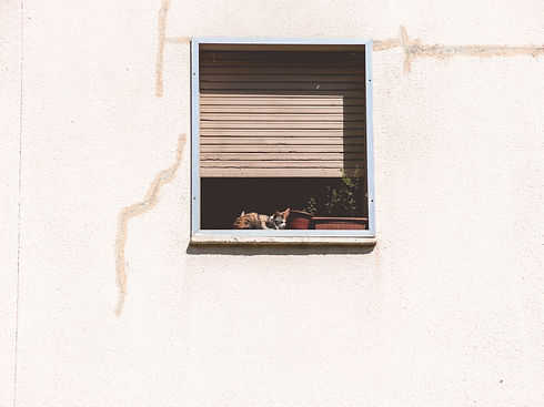 Image by Florencia Potter