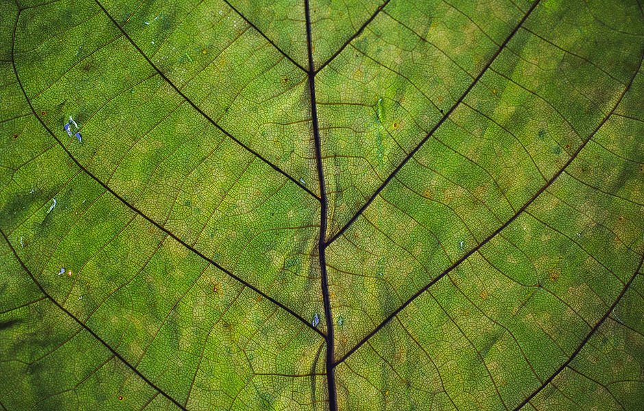Image by Markus Spiske