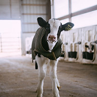 Image de Amber Kipp