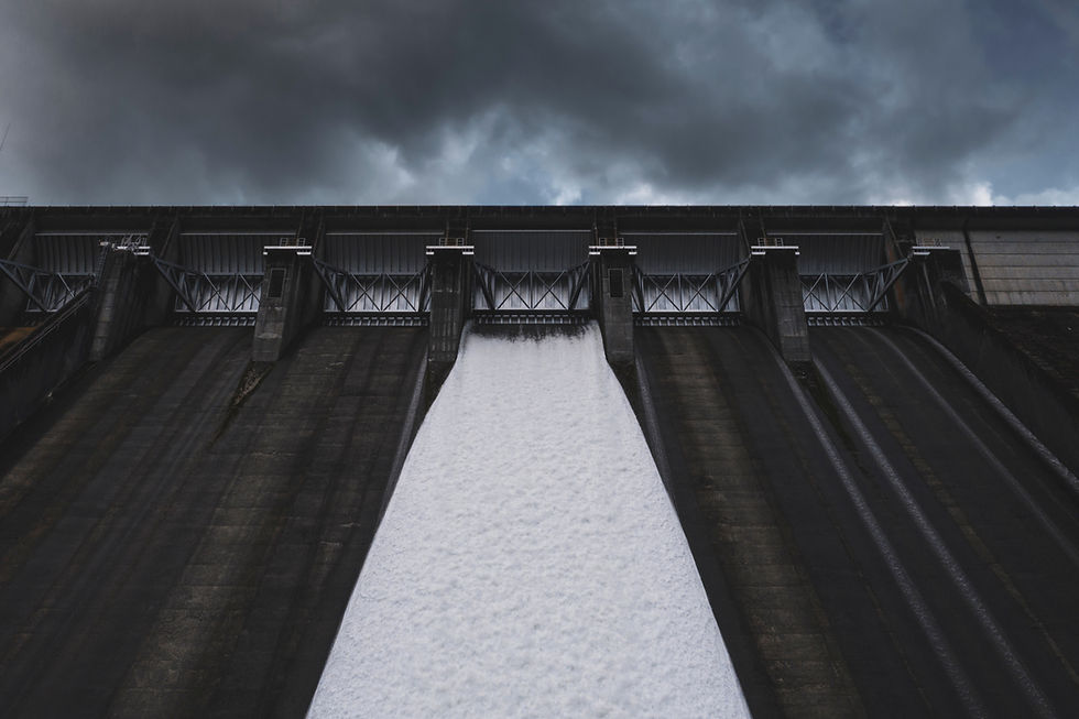 Image by Dan Meyers