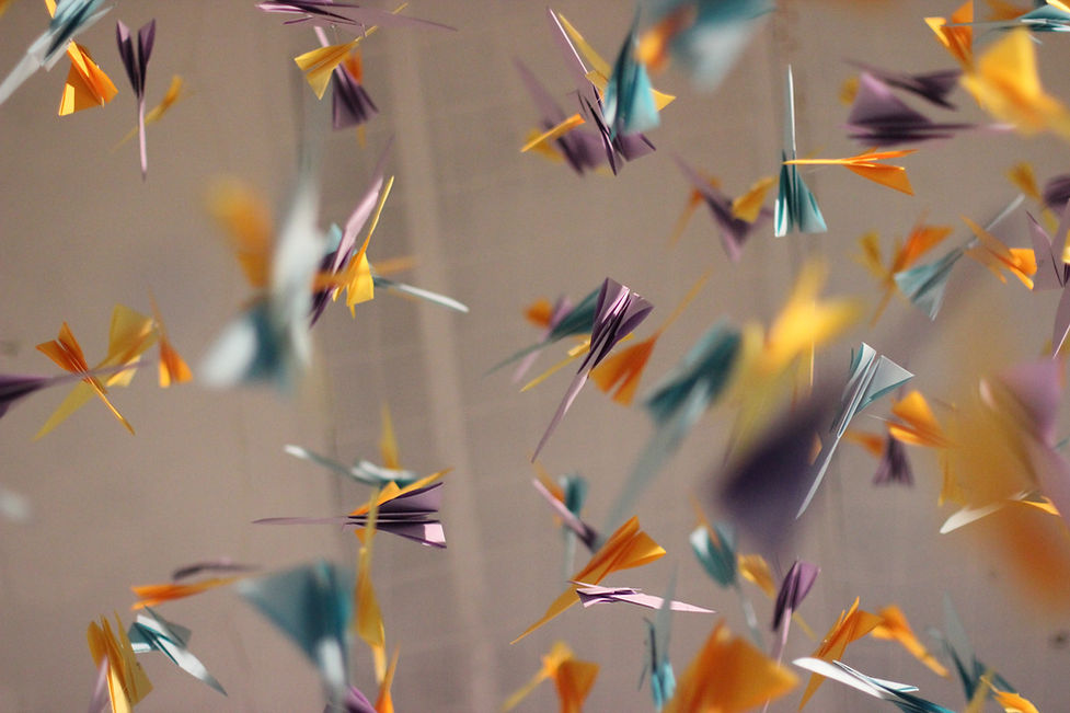 Image by Nikoline Arns